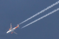 OE-LKP